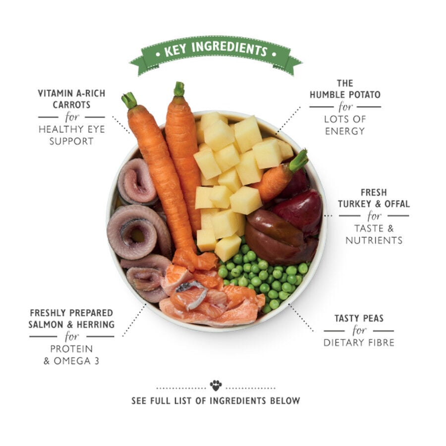 400 g Lily's Kitchen salm&atilde;o e arenque lata para c&atilde;es, , large Imagem n&uacute;mero 2