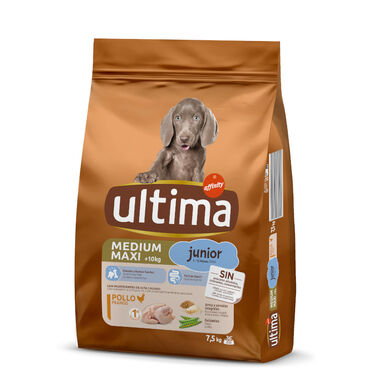  Ultima Medium Maxi ração para cães