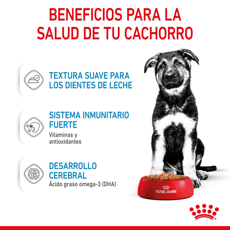 Royal Canin Maxi Puppy Alimento húmido para cães, , large image number null