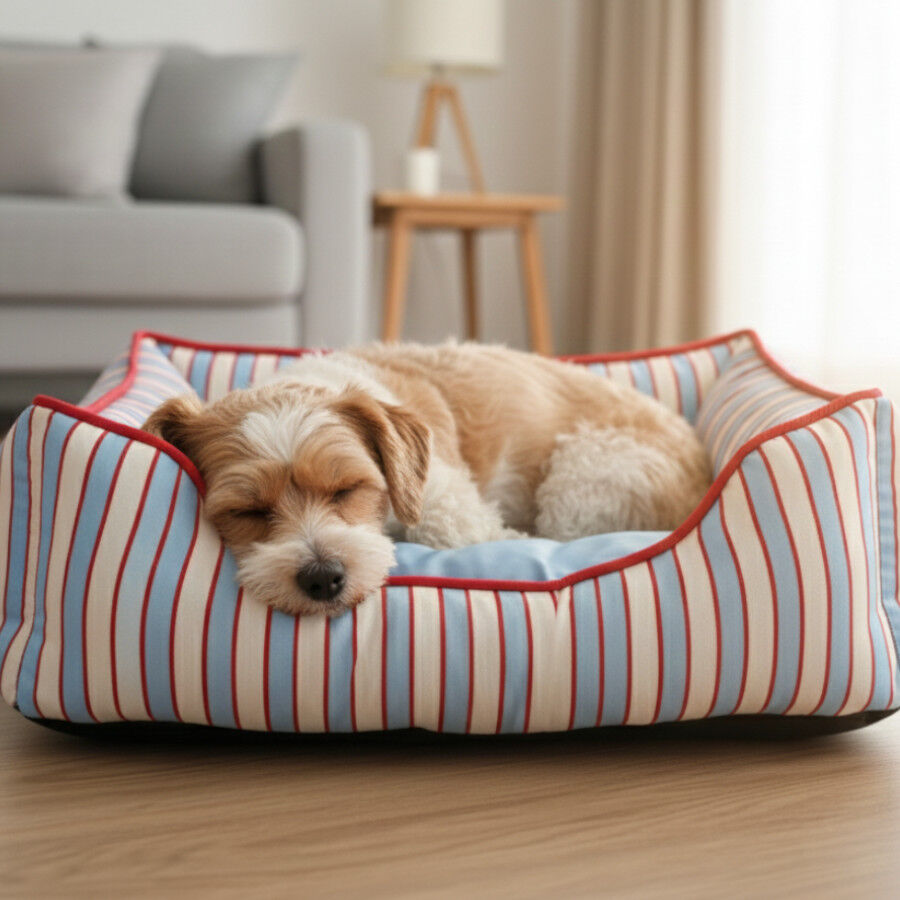 Leeby Cama riscas largas para c&atilde;es, , large Imagem n&uacute;mero 1