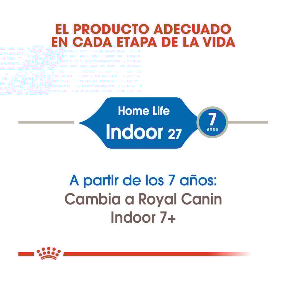 12 kg (10 + 2 kg gr&aacute;tis!) Royal Canin Home Life Indoor 27 ra&ccedil;&atilde;o para gatos, , large Imagem n&uacute;mero 4