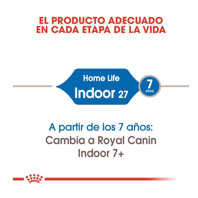 10 kg Royal Canin Home Life Indoor 27 ração para gatos,  Imagem número 4 10 kg Royal Canin Home Life Indoor 27 ração para gatos, , large Imagem número 4