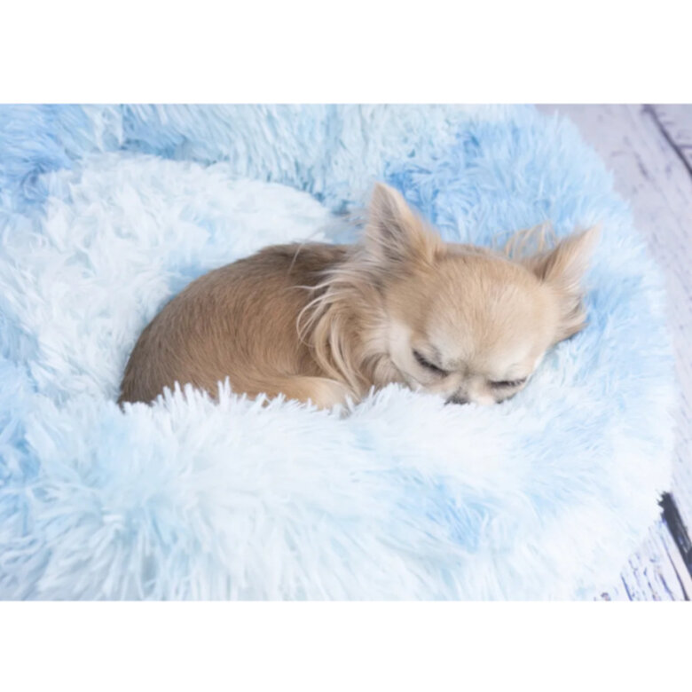 Flamingo Demi Redonda Azul cama para cães e gatos, , large image number null