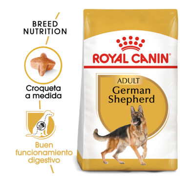 Royal Canin Adult Pastor Alemão ração para cães