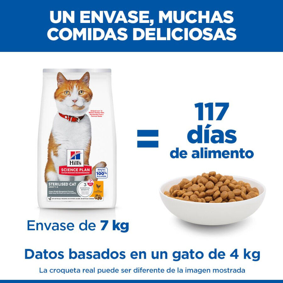 15 kg Hill's Science Plan Sterilised Adult Frango ra&ccedil;&atilde;o para gatos, , large Imagem n&uacute;mero 6