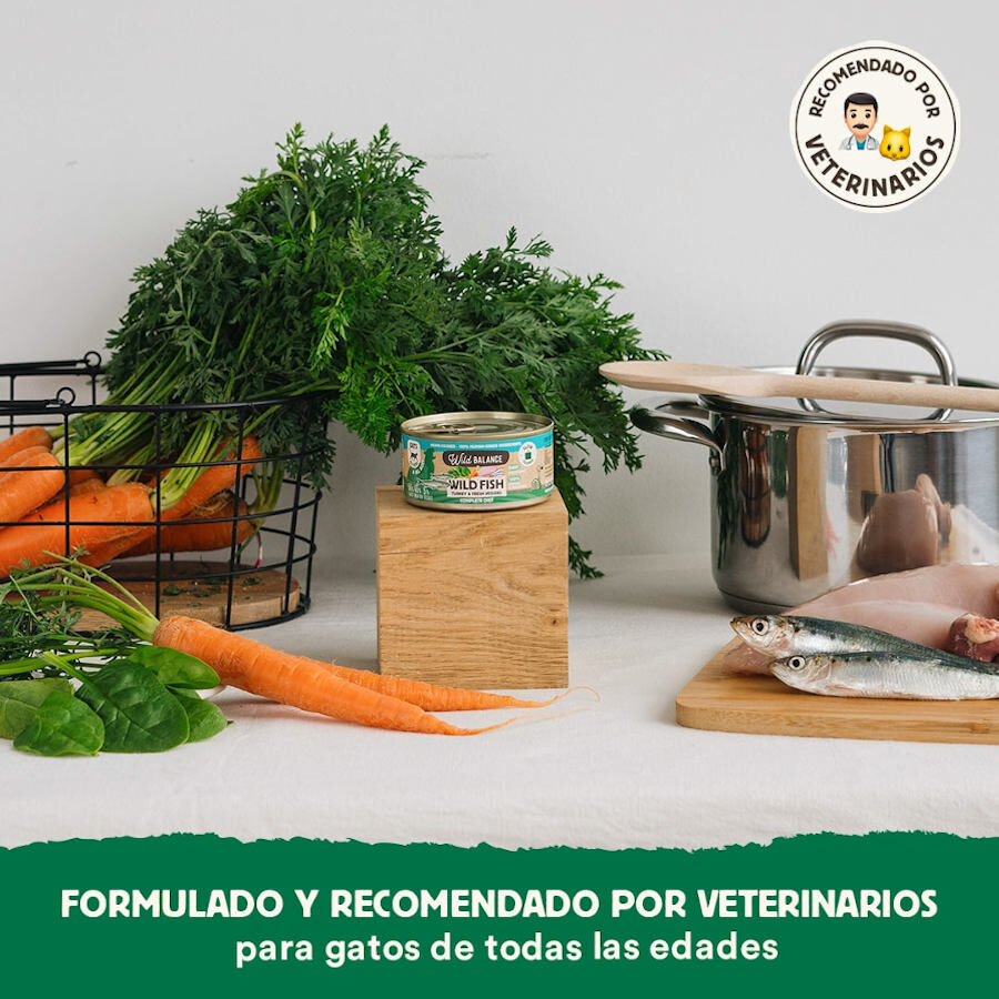120 g Wild Balance BARF Alimento h&uacute;mido de peixe e peru em lata para gatos, , large Imagem n&uacute;mero 4
