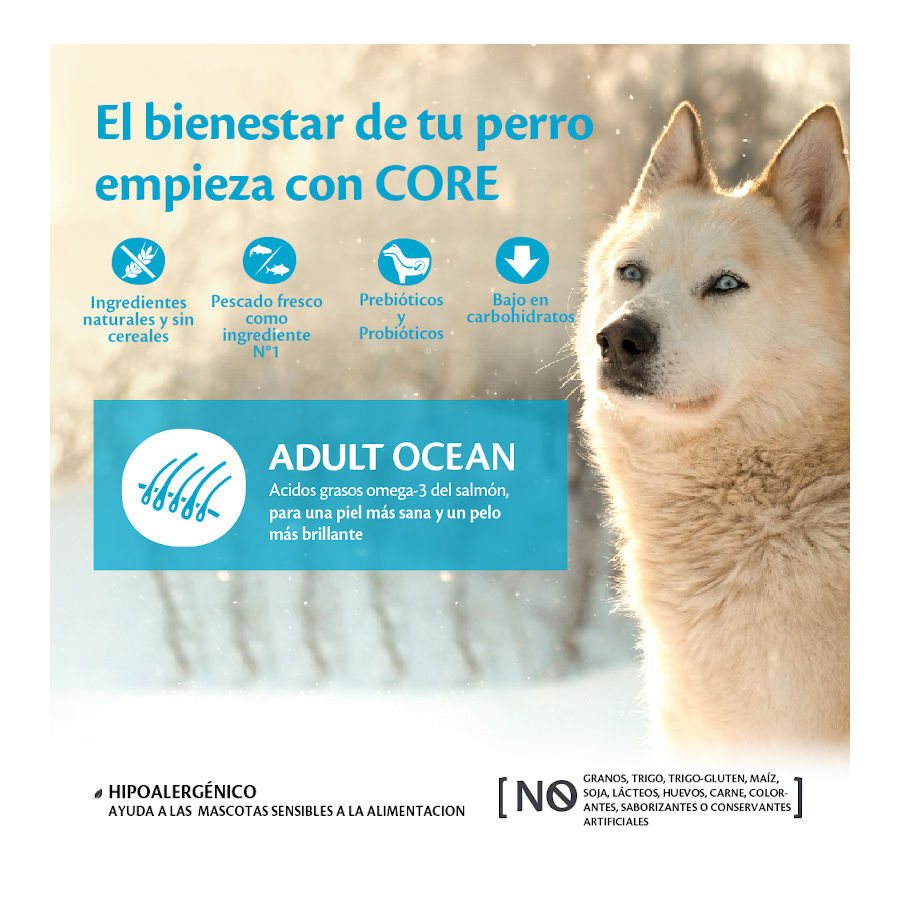 12 kg (10 + 2 kg gr&aacute;tis!) Wellness Core Adult Medium/Large Ocean Salm&atilde;o e Atum ra&ccedil;&atilde;o para c&atilde;es , , large Imagem n&uacute;mero 2