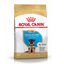 12 kg Royal Canin Puppy Pastor Alemão ração para cães, , large Indicador imagem número 1