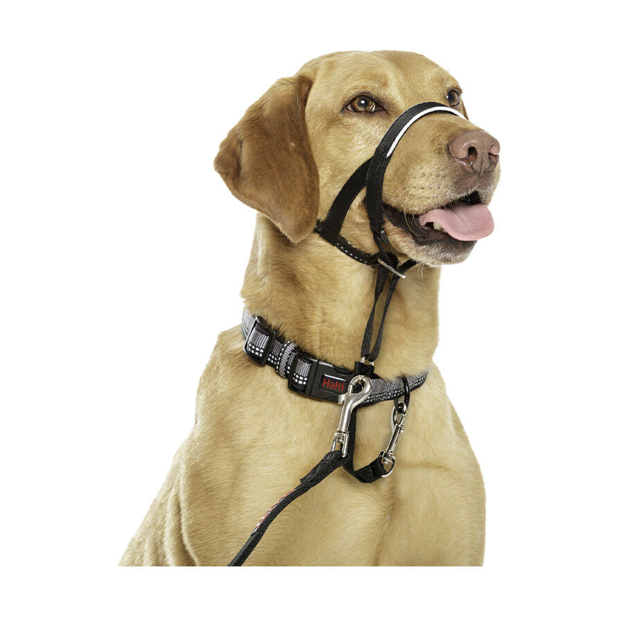 Halti Coleira anti-pux&atilde;o para c&atilde;o, , large Imagem n&uacute;mero 3