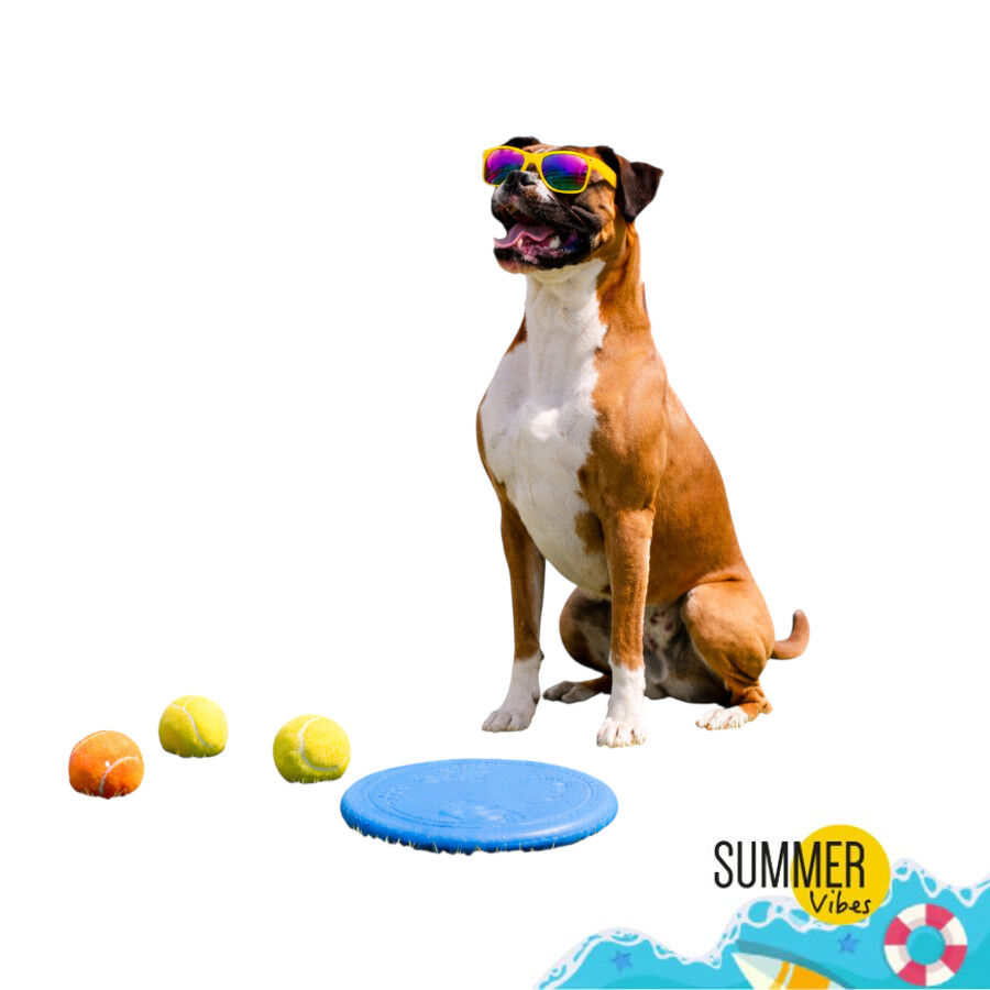 Summer Vibes Frisbee x 3 Balls Kit Bolas e Frisbee para c&atilde;es, , large Imagem n&uacute;mero 7