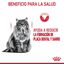 8 kg Royal Canin Adult Oral ração para gatos, , large Indicador imagem número 4