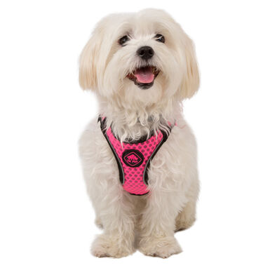 TK-Pet Easy Click peitoral rosa para cães