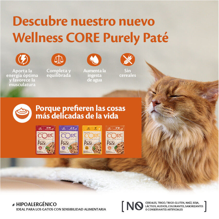 85 g Wellness Core Adult Purely Pato e Frango em Pat&ecirc; saqueta para gatos, , large Imagem n&uacute;mero 4