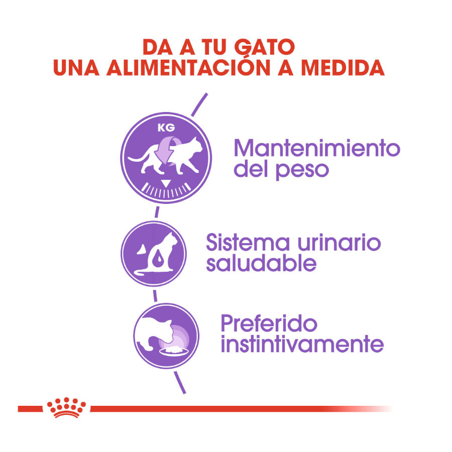 85 g Royal Canin Sterilised Saquetas em gelatina para gatos, , large Imagem n&uacute;mero 5