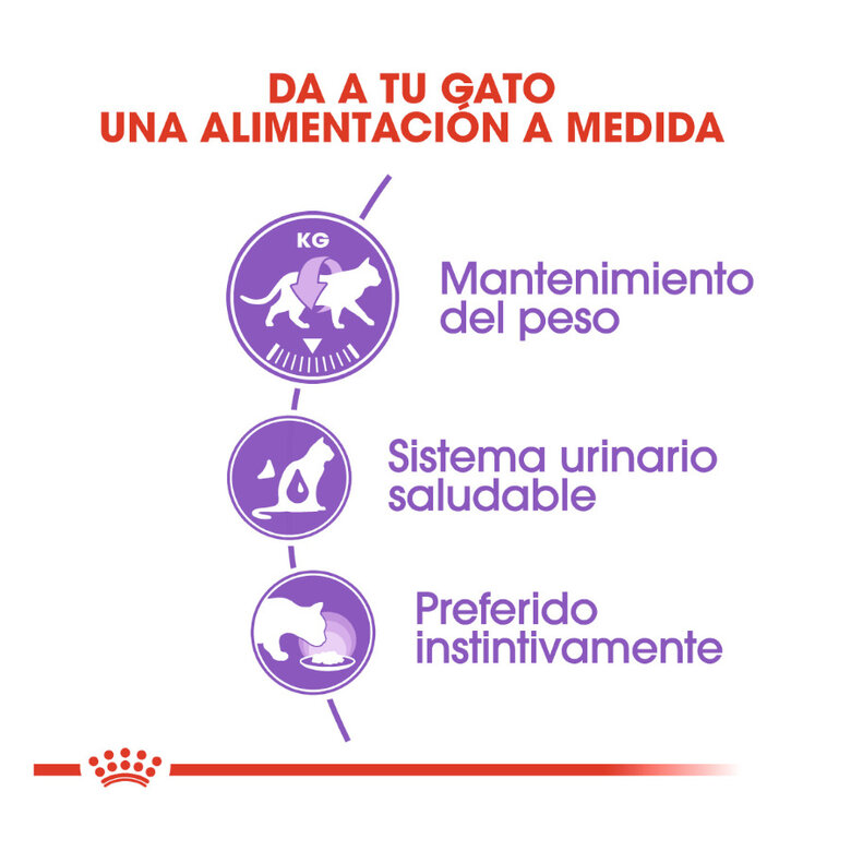 85 g Royal Canin Sterilised Saquetas em gelatina para gatos,  Imagem número 5 85 g Royal Canin Sterilised Saquetas em gelatina para gatos, , large Imagem número 5