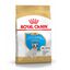 10 kg Royal Canin Puppy Bulldog Francês ração para cães, , large Indicador imagem número 1