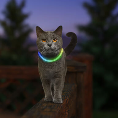 Coleira de segurança LED Nite Ize NiteMeow para gatos