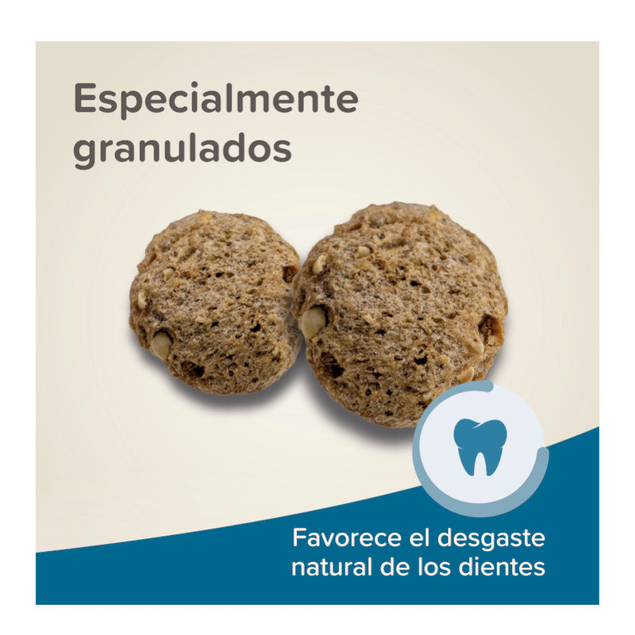 Beaphar Care+ Alimento para ratos e gerbilos, , large Imagem n&uacute;mero 6