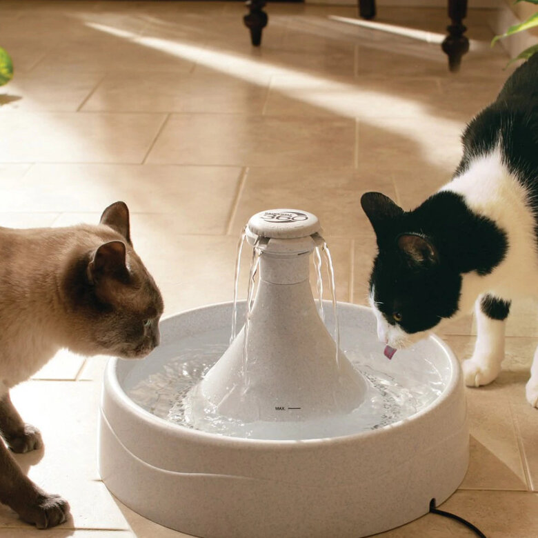 Petsafe Drinkwell Fonte Bebedouro para cães e gatos, , large image number null