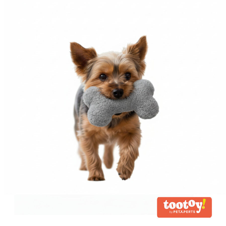Tootoy! Comfort Peluche Osso para c&atilde;es, , large Imagem n&uacute;mero 8