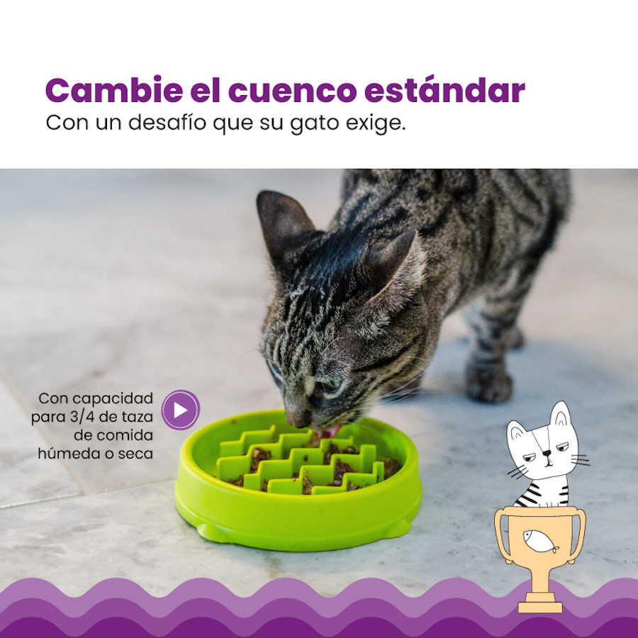 Catstages Cat Fun Comedouro Anti-Voracidade Verde para gatos, , large Imagem n&uacute;mero 6