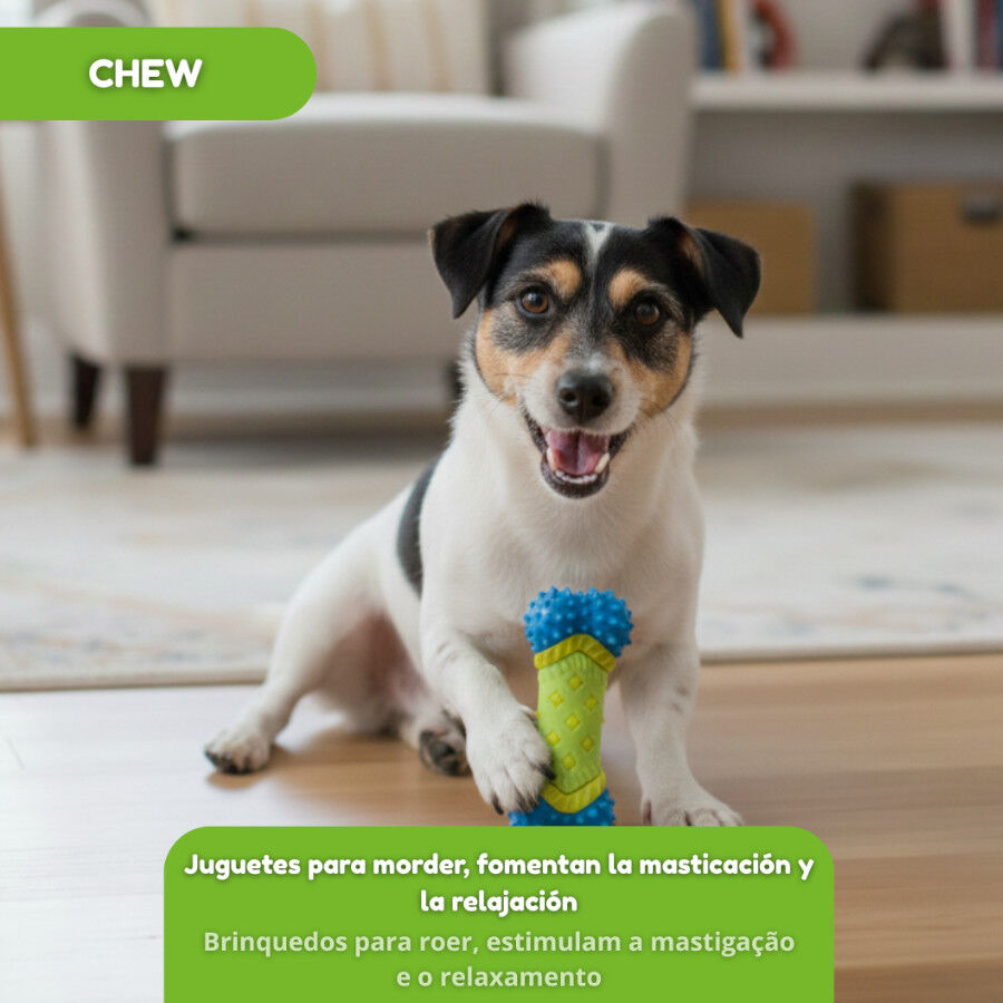 Tootoy! Chew Mordedor dental com apito para c&atilde;es, , large Imagem n&uacute;mero 6