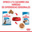140 g Royal Canin Maxi Puppy Alimento húmido para cães, , large Indicador imagem número 5