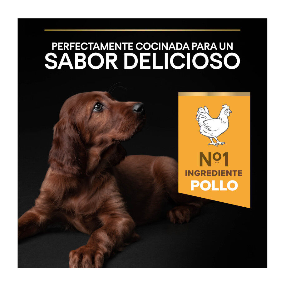 12 kg Pro Plan Puppy Large Athletic Frango ra&ccedil;&atilde;o para c&atilde;es, , large Imagem n&uacute;mero 5
