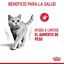 8 kg Royal Canin Adult Light Weight Care ração para gatos, , large Indicador imagem número 6