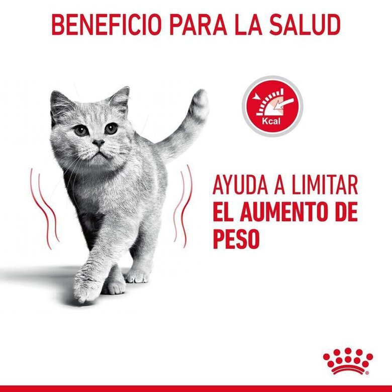 8 kg Royal Canin Adult Light Weight Care ração para gatos,  Imagem número 6 8 kg Royal Canin Adult Light Weight Care ração para gatos, , large Imagem número 6