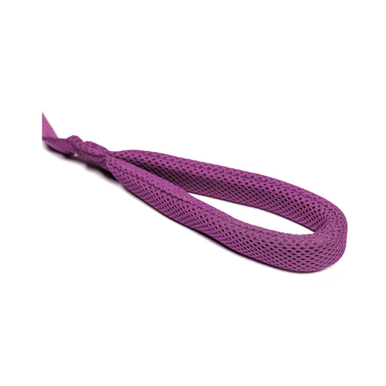 Gloria Air Mesh Trek Star Trela Roxa para cães,  Imagem número 3 Gloria Air Mesh Trek Star Trela Roxa para cães, , large Imagem número 3