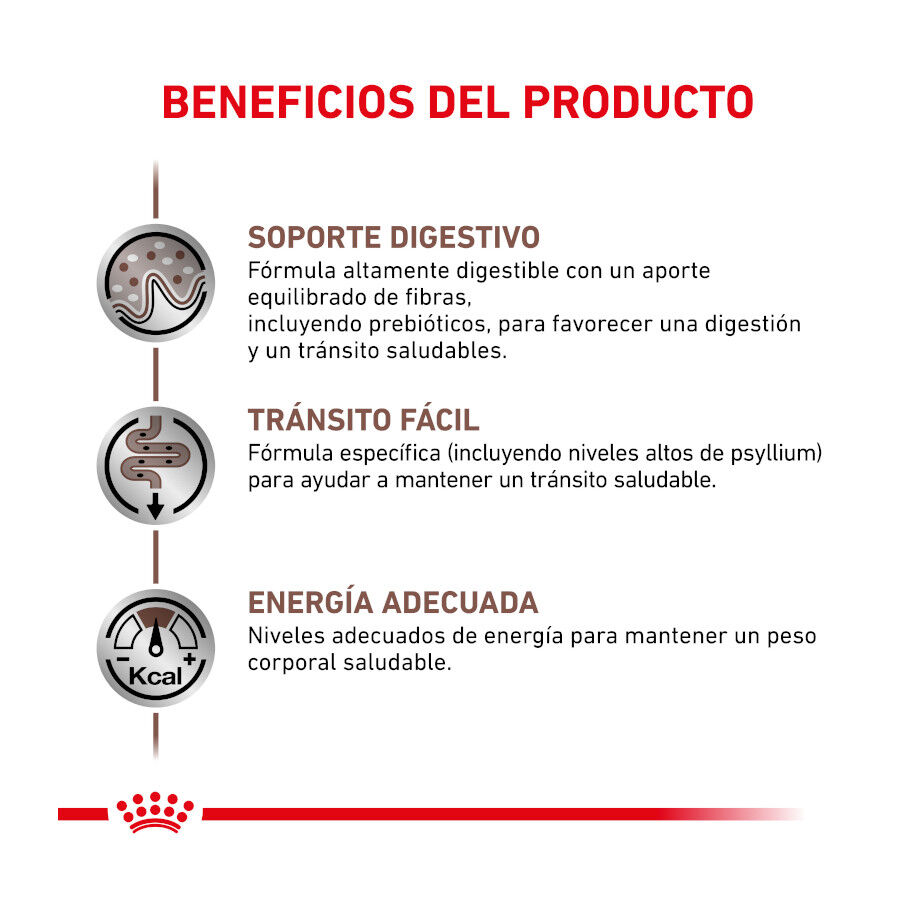 4 kg Royal Canin Veterinary Gastrointestinal Fibre Response ra&ccedil;&atilde;o para gatos, , large Imagem n&uacute;mero 3