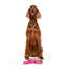 Dukier Savana clássico Peitoral com Estampado de girafa para cães, , large Indicador imagem número 2