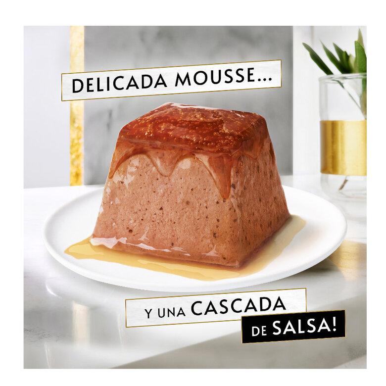 4 terrinas x 57 g Gourmet Revelations Mousse de Peixe do Oceano para gatos,  Imagem número 2 4 terrinas x 57 g Gourmet Revelations Mousse de Peixe do Oceano para gatos, , large Imagem número 2