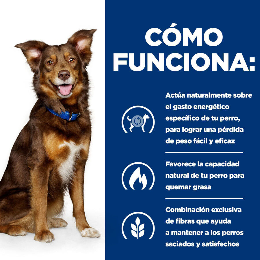 370 g Hill's Prescription Diet Metabolic Lata de carne e vegetais para c&atilde;es, , large Imagem n&uacute;mero 5