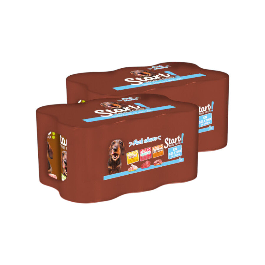 12 latas x 400 g Start Multipack Alimento h&uacute;mido de frango, vitela e cordeiro em geleia para c&atilde;es Pack Poupan&ccedil;a!, , large Imagem n&uacute;mero 1