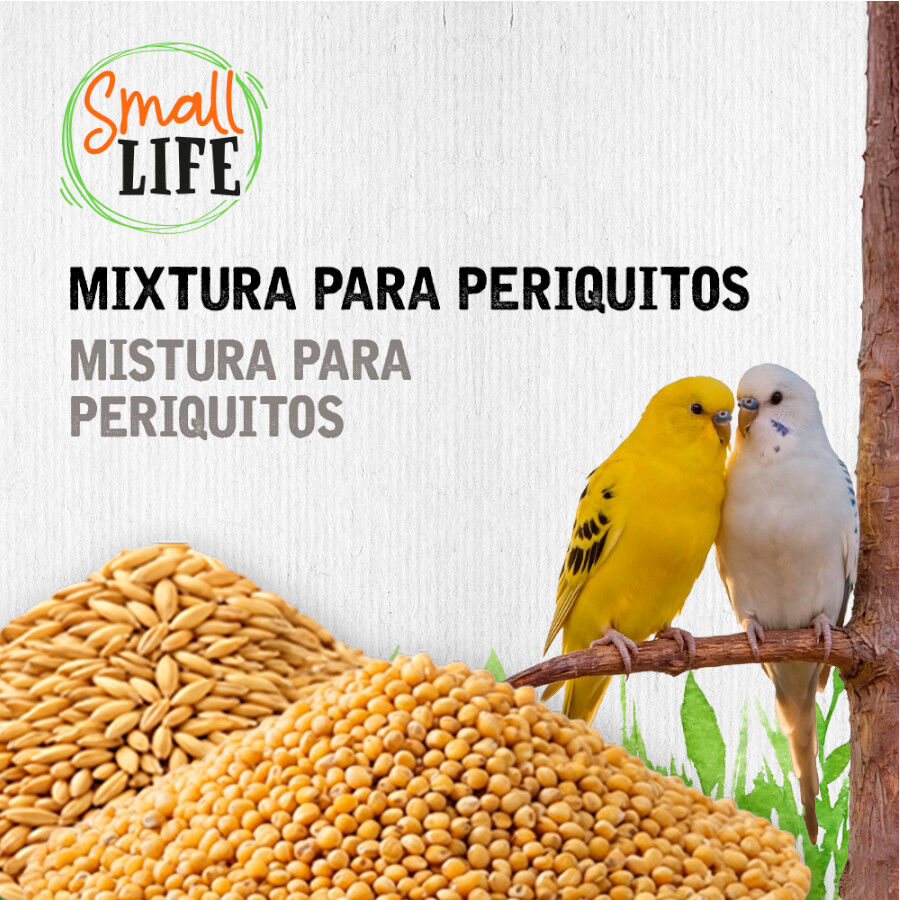 3.7 kg Small Life Mixtura Cubos para periquitos, , large Imagem n&uacute;mero 3