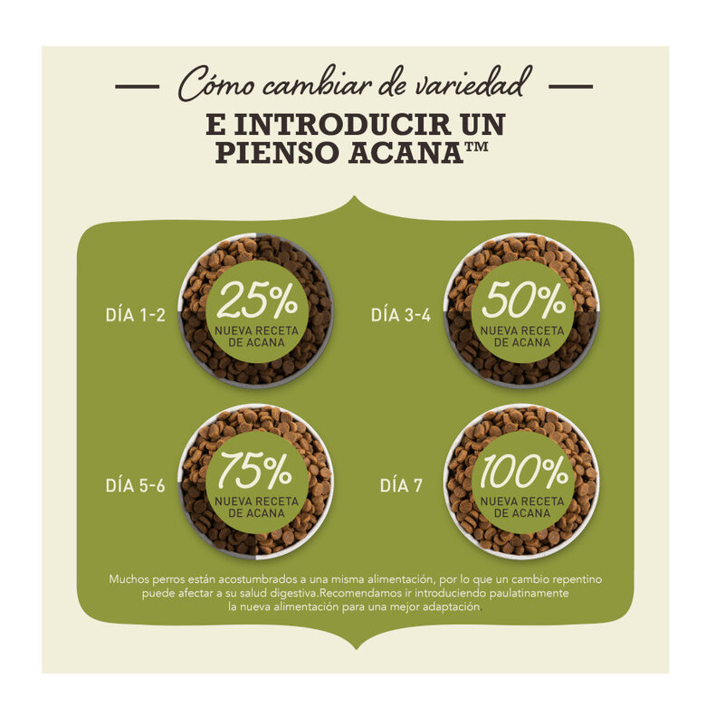 1.8 kg Acana Highest Protein frango, peru e salmão ração para gatinhos,  Imagem número 4 1.8 kg Acana Highest Protein frango, peru e salmão ração para gatinhos, , large Imagem número 4