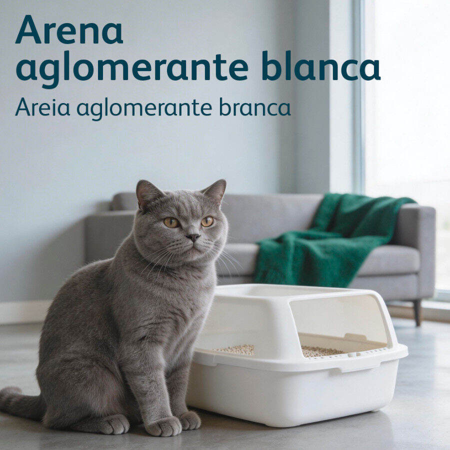 Nova Clean Ultra Natural Areia Aglomerante para gatos, , large Imagem n&uacute;mero 6