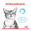 85 g Royal Canin Adult Sensory Feel molho saqueta para gatos, , large Indicador imagem número 2