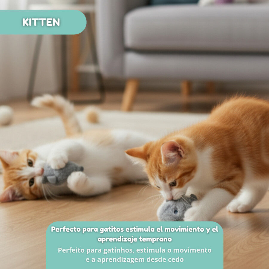 Tootoy! Kitten Ratinho para gatos, , large Imagem n&uacute;mero 5