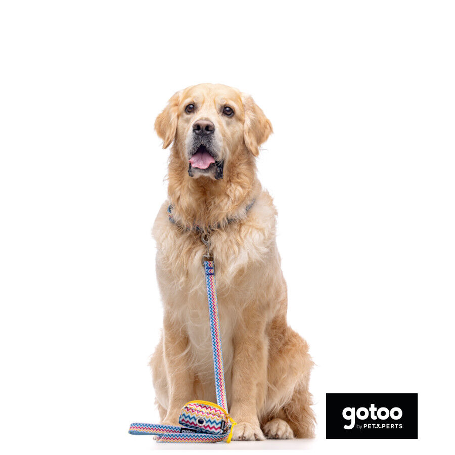 Gotoo Porta-sacoscom estampado de riscas zig-zag para c&atilde;es, , large Imagem n&uacute;mero 3