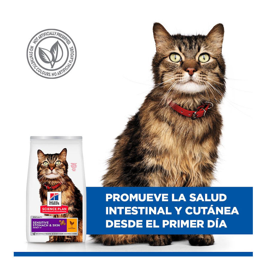 1.5 kg Hill's Adult Science Plan Sensitive Stomach Frango ra&ccedil;&atilde;o para gatos, , large Imagem n&uacute;mero 4