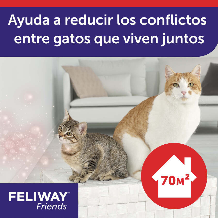 Feliway Friends Difusor + Recarga para gatos, , large Imagem n&uacute;mero 3