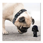 Disney Coleira para cão com estampado Star Wars para cães, , large image number null