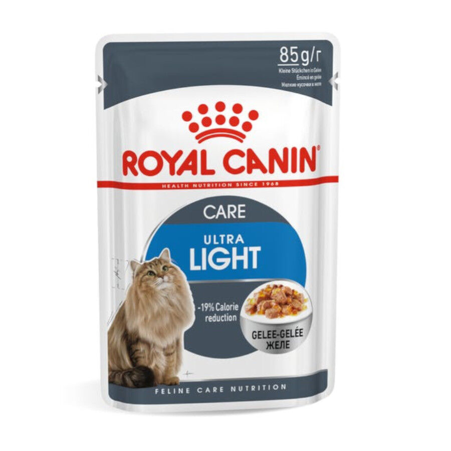 48 saquetas x 85 g Royal Canin Ultra Light geleia saqueta para gatos Pack poupan&ccedil;a!, , large Imagem n&uacute;mero 2
