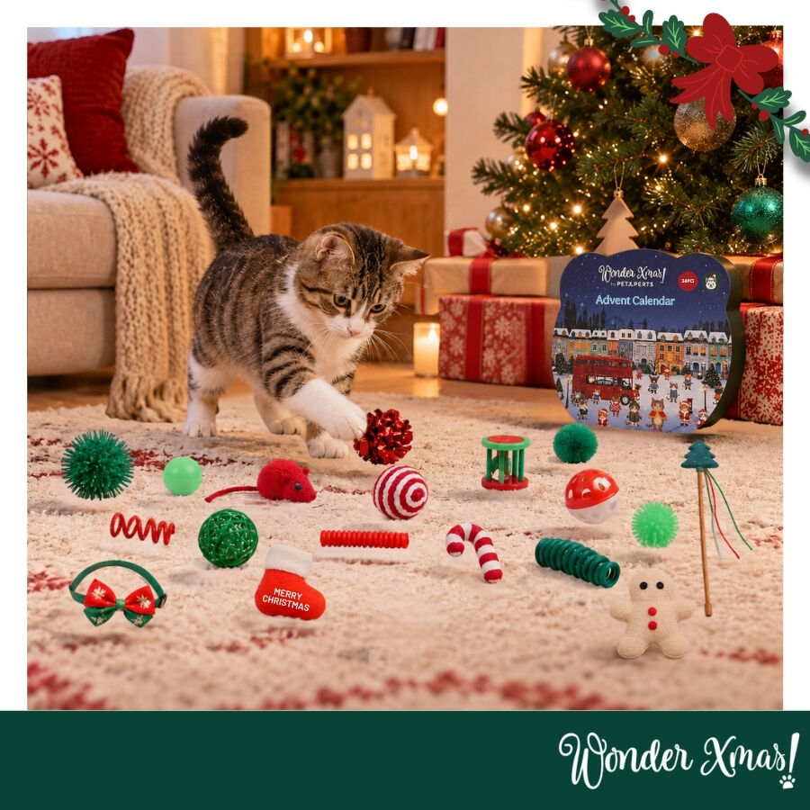 Wonder Christmas Calend&aacute;rio do Advento para gatos, , large Imagem n&uacute;mero 2