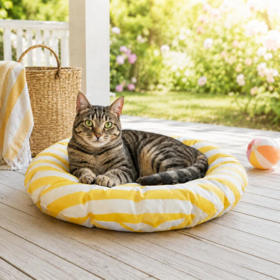 Summer Vibes Round Cool Mat Club Cama Refrescante para gatos, , large Imagem n&uacute;mero 3