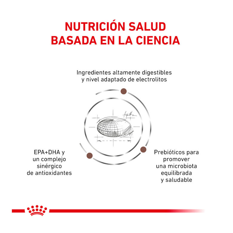 4 kg Royal Canin Veterinary Gastrointestinal Moderate Calorie ração para gatos,  Imagem número 3 4 kg Royal Canin Veterinary Gastrointestinal Moderate Calorie ração para gatos, , large Imagem número 3