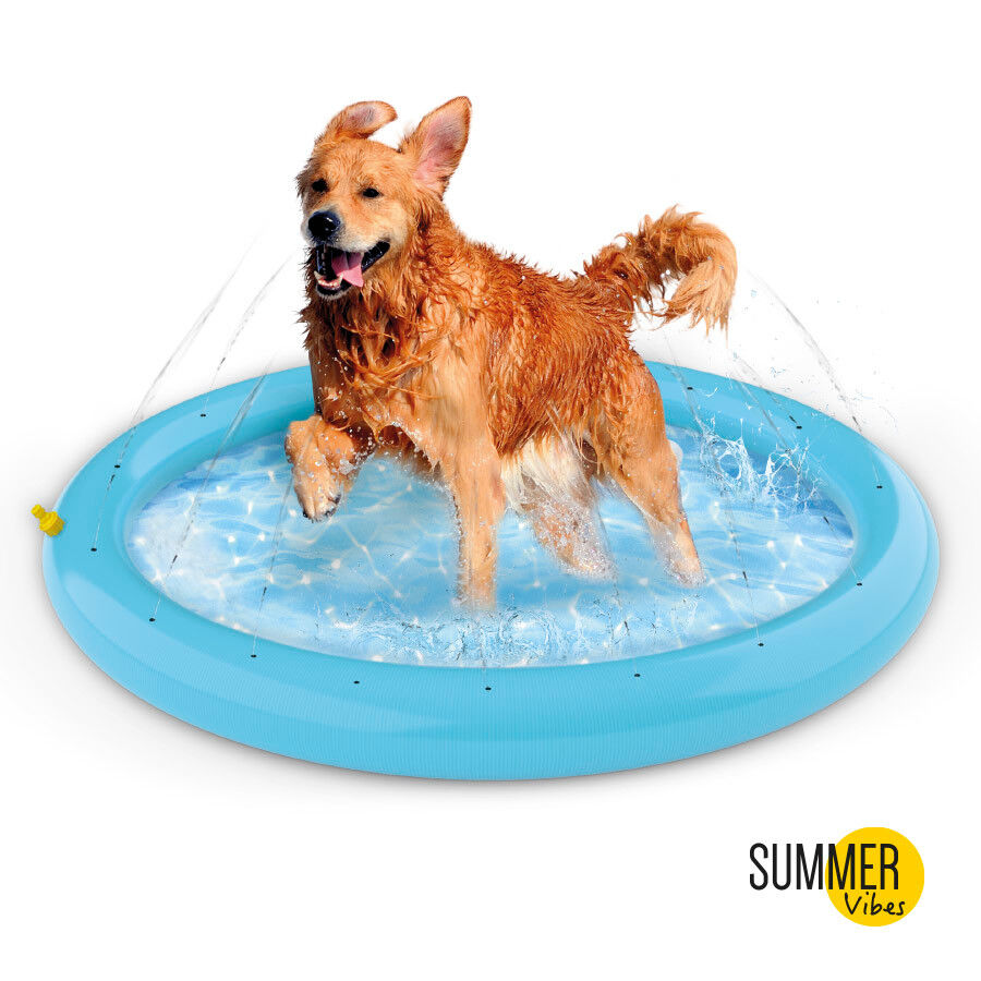 Summer Vibes Piscina com jatos para c&atilde;es, , large Imagem n&uacute;mero 2